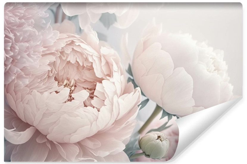 Fototapeta PEONIE Kwiaty Efekt 3D Natura 90x60cm