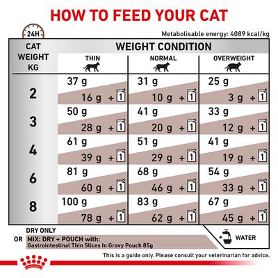 Royal Canin Vétérinaire Chat - Gastro-intestinal