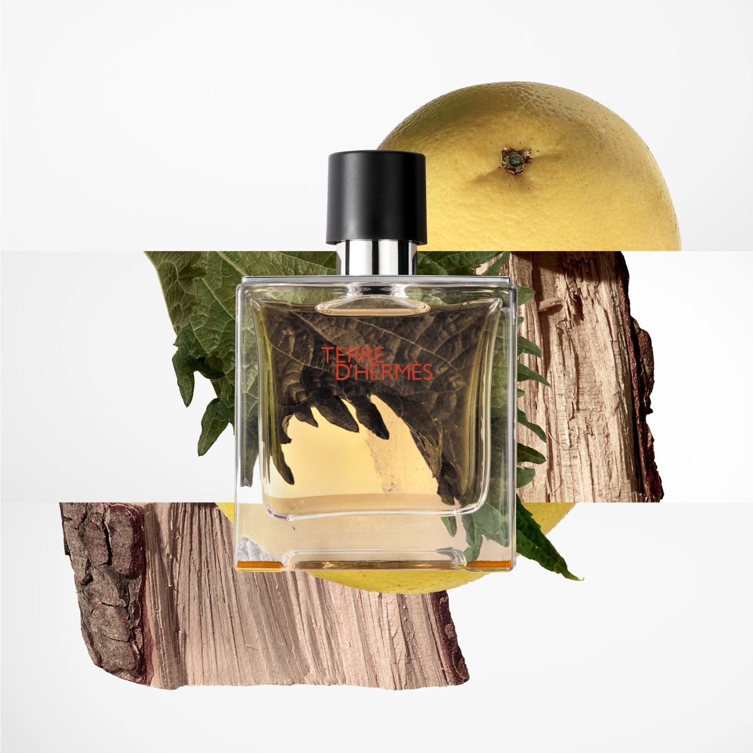 HERMÈS Parfum Terre d'Hermès parfuminio vandens papildymas - 125 ml