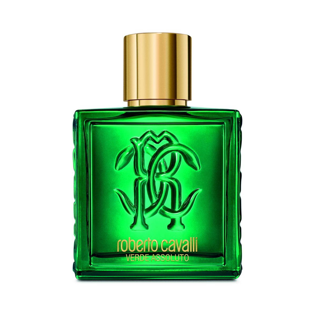 Roberto Cavalli UOMO VERDE ASSOLUTO