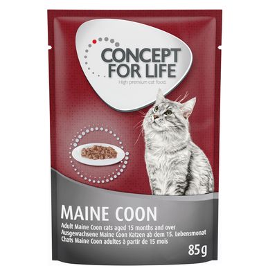 Concept for Life Maine Coon Adult - i ragout