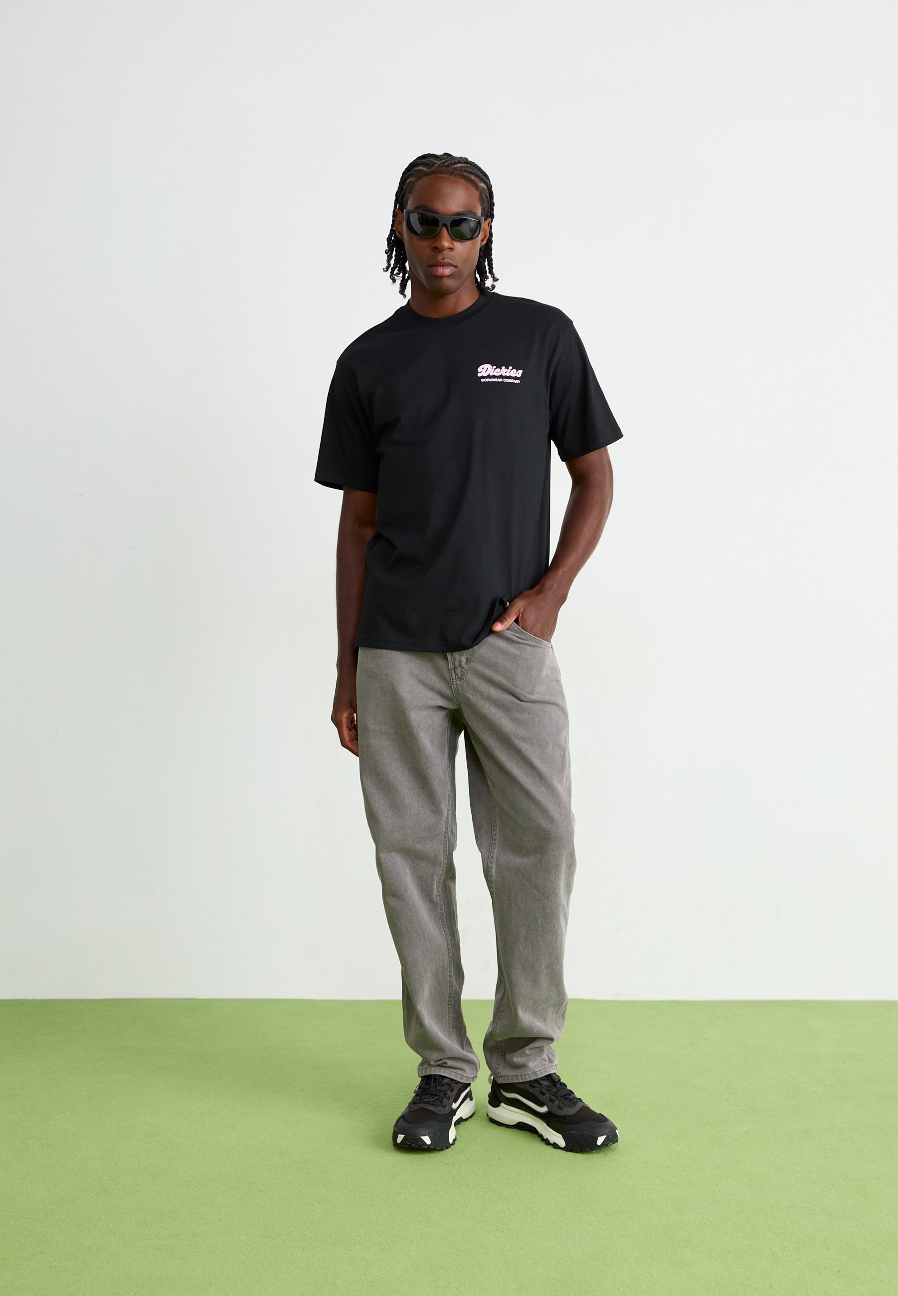 T-shirt stampate Dickies