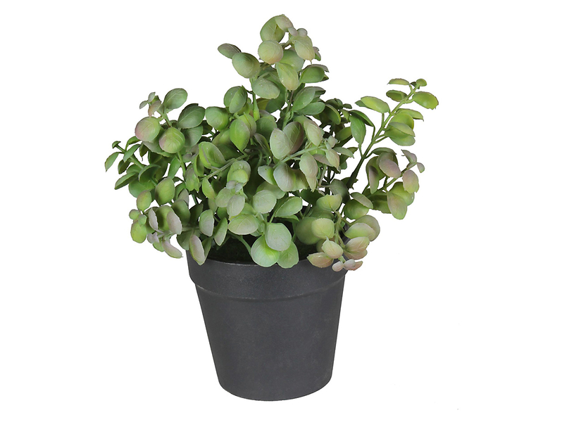 Sztuczna roślina w doniczce Herbs II 20 cm