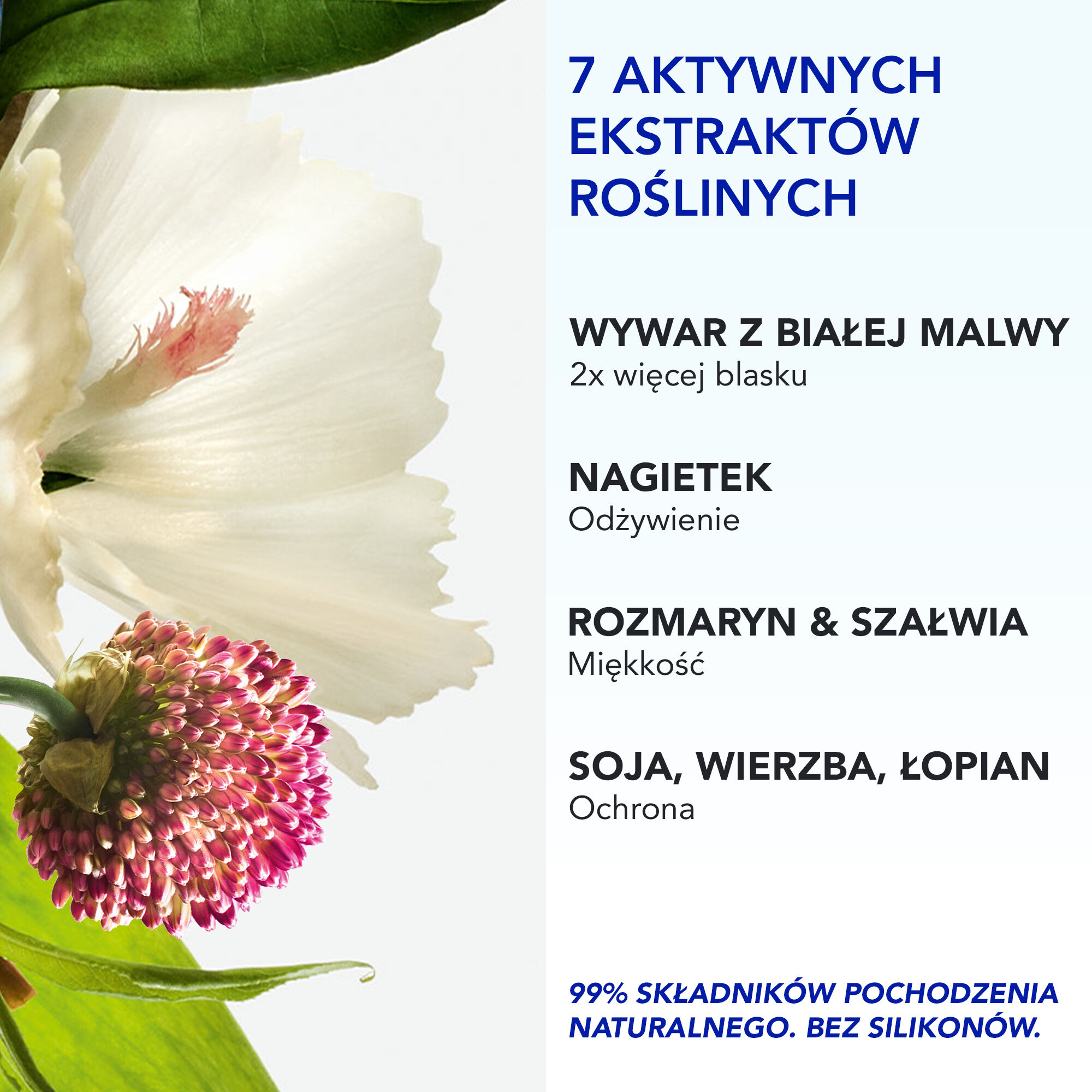 Phyto Paris 7 ELIXIR