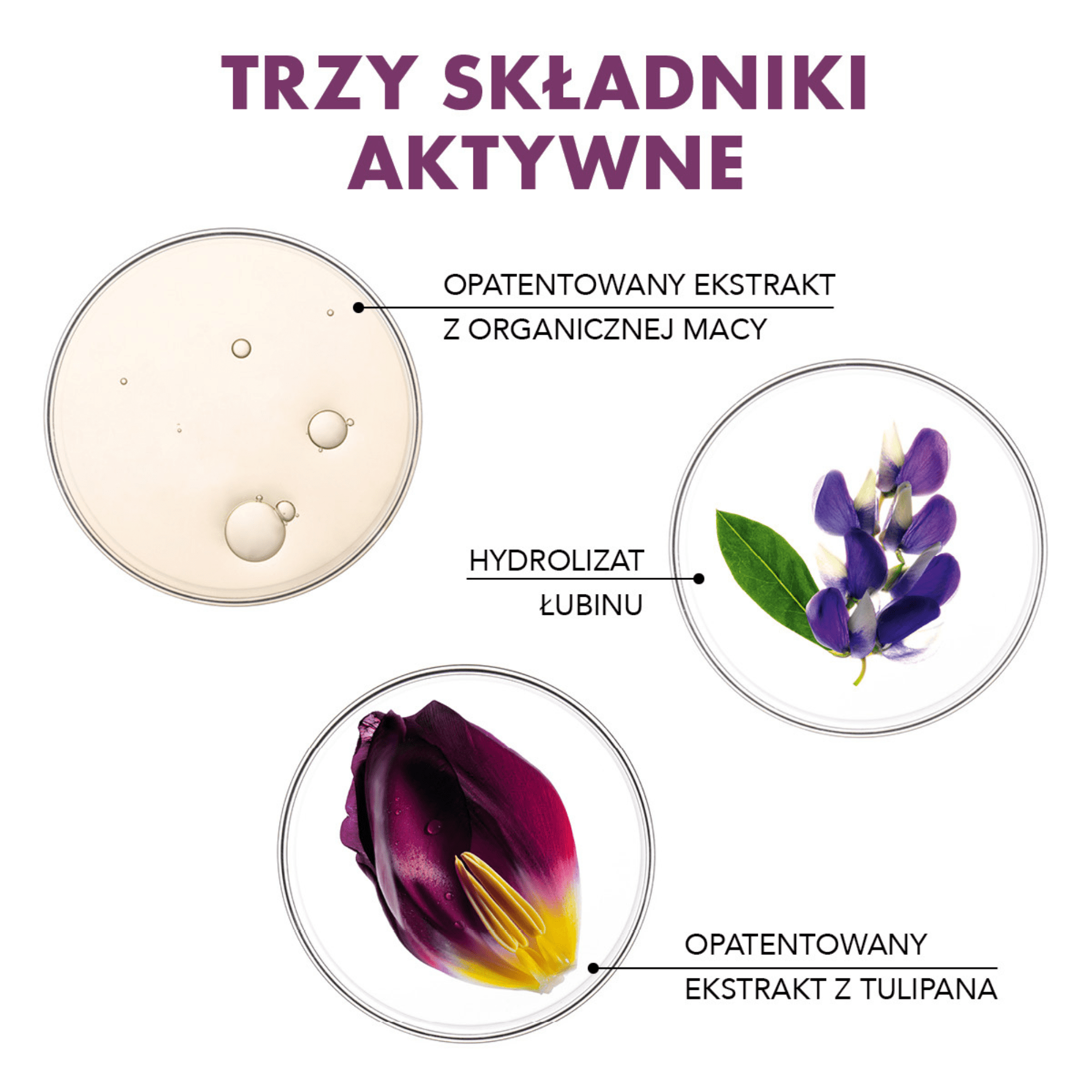Phyto Paris Phytocyane