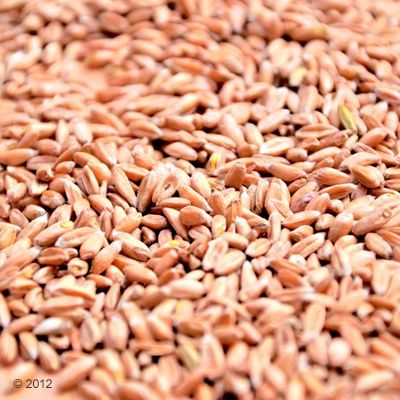 Aumüller Emojis Valerian kissatyynyt
