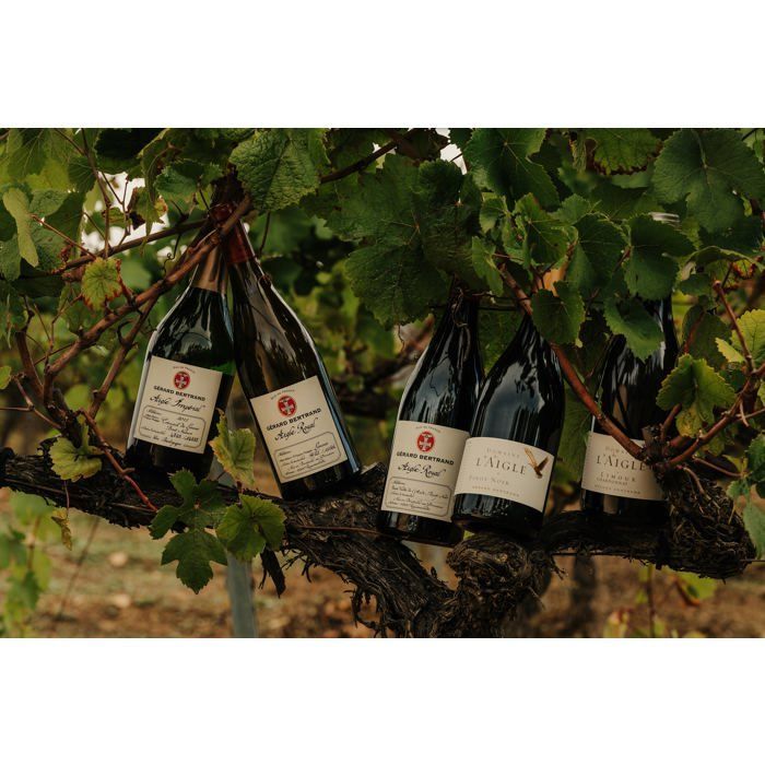 Domaine de l'Aigle Chardonnay 2023 Lote de 6 Botellas 75cl