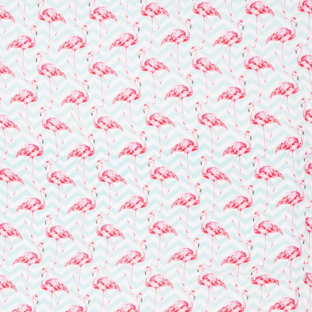 Bocioland
