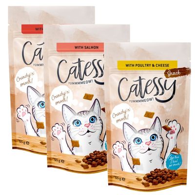 Catessy Knusprige Snacks Probierpackung (3 x 65 g)
