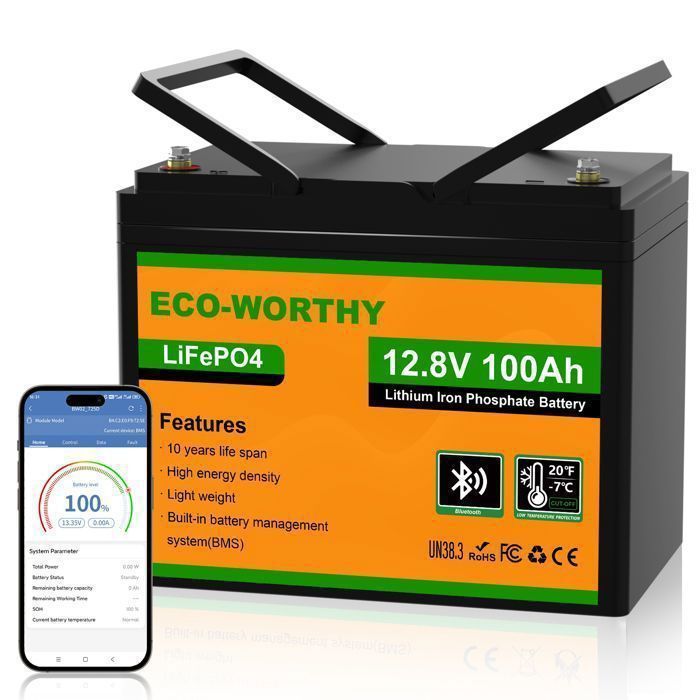 100Ah 12V 1.2KWh Lithium Battery with Bluetooth, LiFePO4 Battery for Power Wheels, Motorhomes