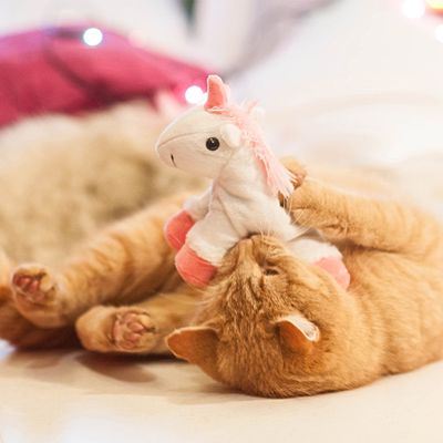 Jucărie pentru pisici Aumüller Unicorn Pernă