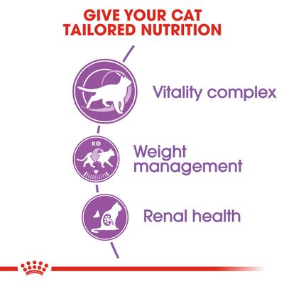 Royal Canin Esterilizado 7+ Cat