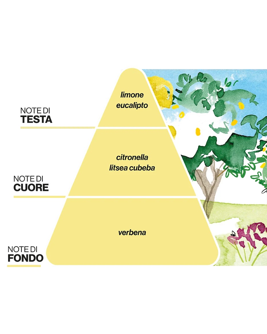 Perfume para habitaciones PUROBIO Olfactory Landscapes - Huerto de cítricos - Ambiente relajante