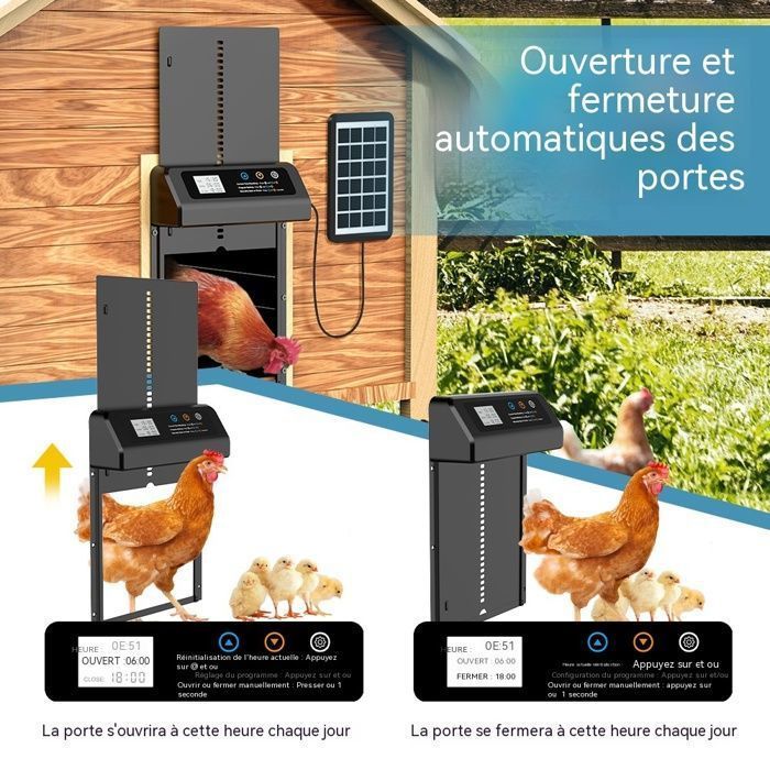Porta automática para galinheiro - LANTHOUR - Energia solar - Temporizador antiesmagamento - Bateria de 2000mAh - À prova d'água