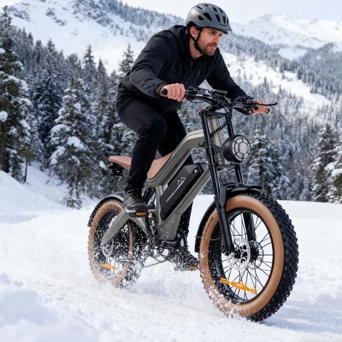 Vélo électrique - DYU - M20 - Moteur 1000W - Batterie 48V  - 18.2Ah - Pneus 20x4,0