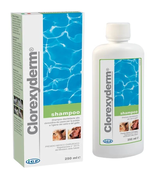 CLOREXYDERM Champú Clorexyderm 250 ml Terapia con champú