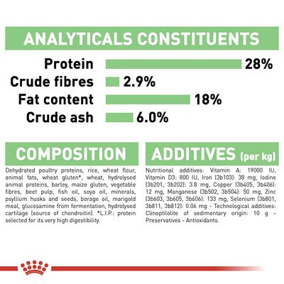 Royal Canin Maxi Digestive Care