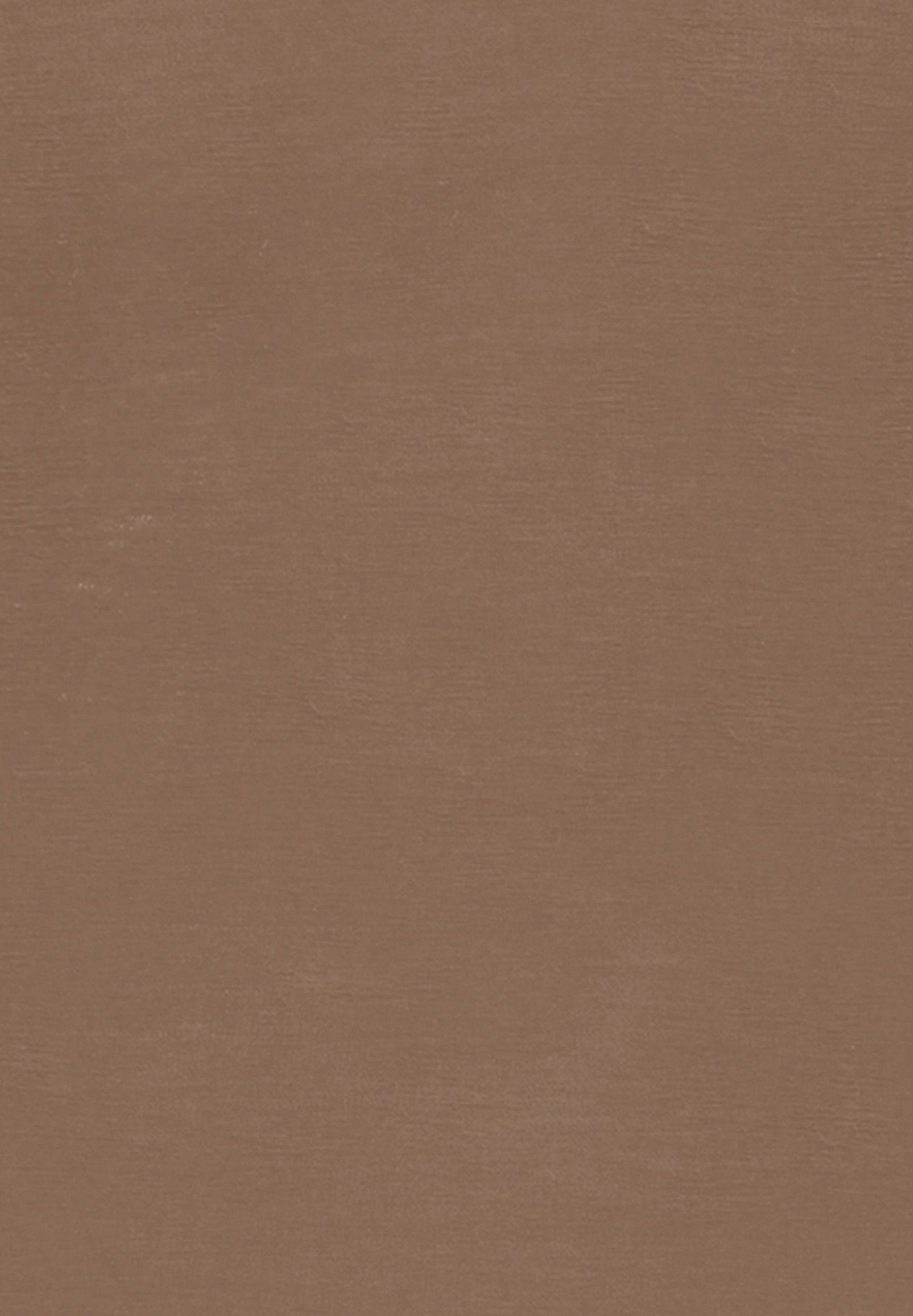 Minimum PERNILLES - Maglia a maniche lunghe - shitake
