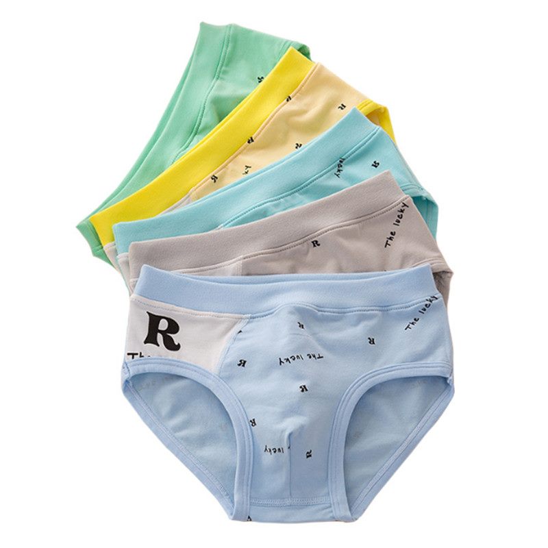 Lot de 10 slips à motifs pour enfants, short en coton bio, pour garçons.