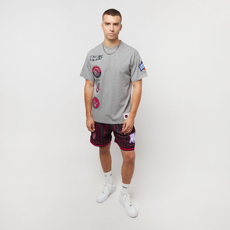 Colección de la ciudad de los Toronto Raptors de la NBA