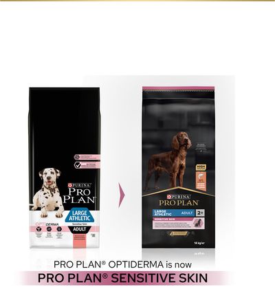 PURINA PRO PLAN Large Athletic Adult Sensitive Skin - Laks