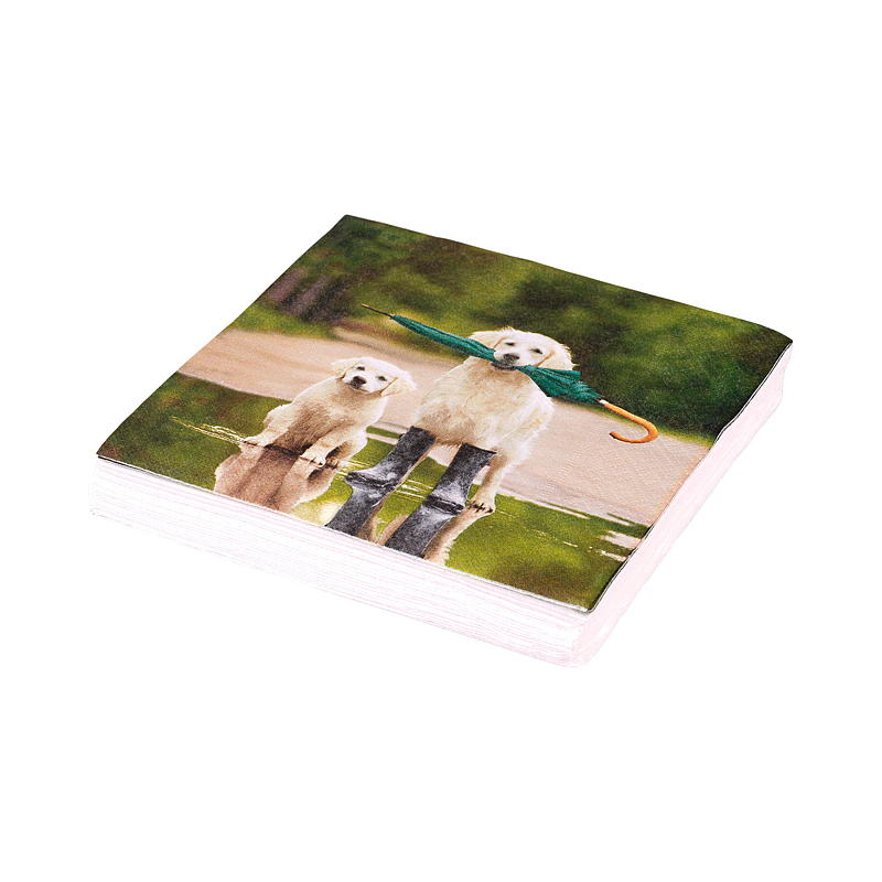 Vie Eco Servetten, 20 stuks, 33x33 cm, herfstseizoen
