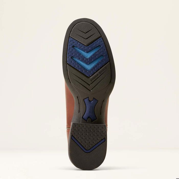 Stivali western da donna Ariat Ranahan