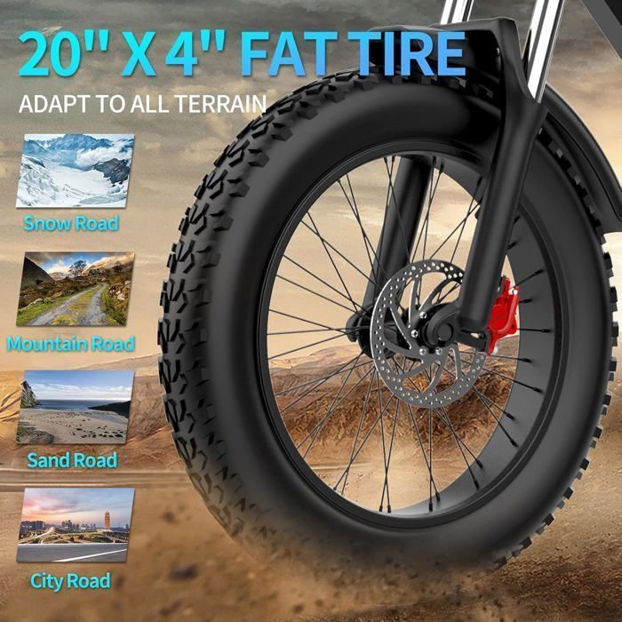 Ridstar Q20 - Vélo électrique - Moteur 1500w - Batterie 48V 20Ah - Autonomie 120KM - Max   55KM/H - Roues 20
