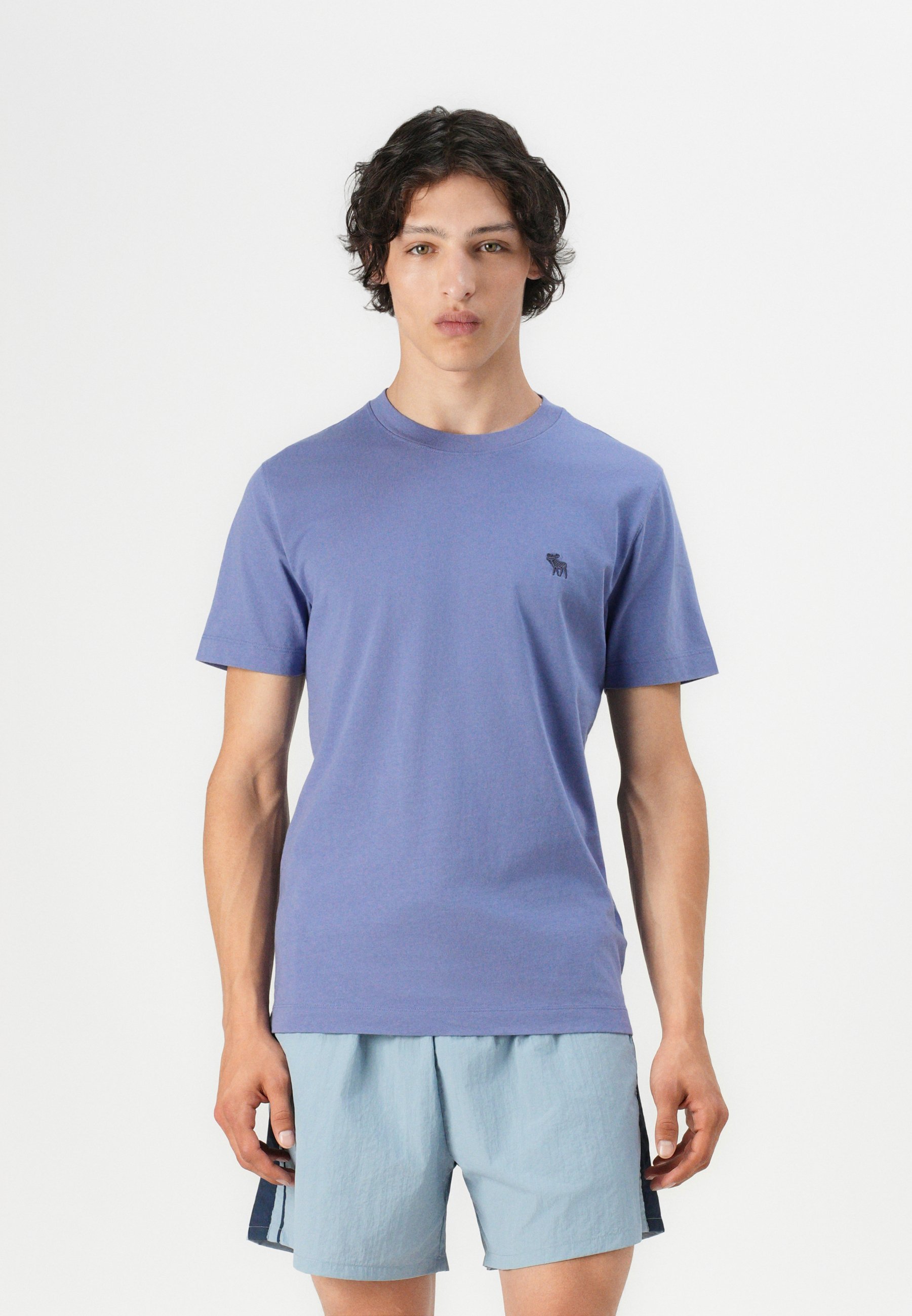 Abercrombie & Fitch PUFFY ICON CREW - Basic T-shirt - blauw