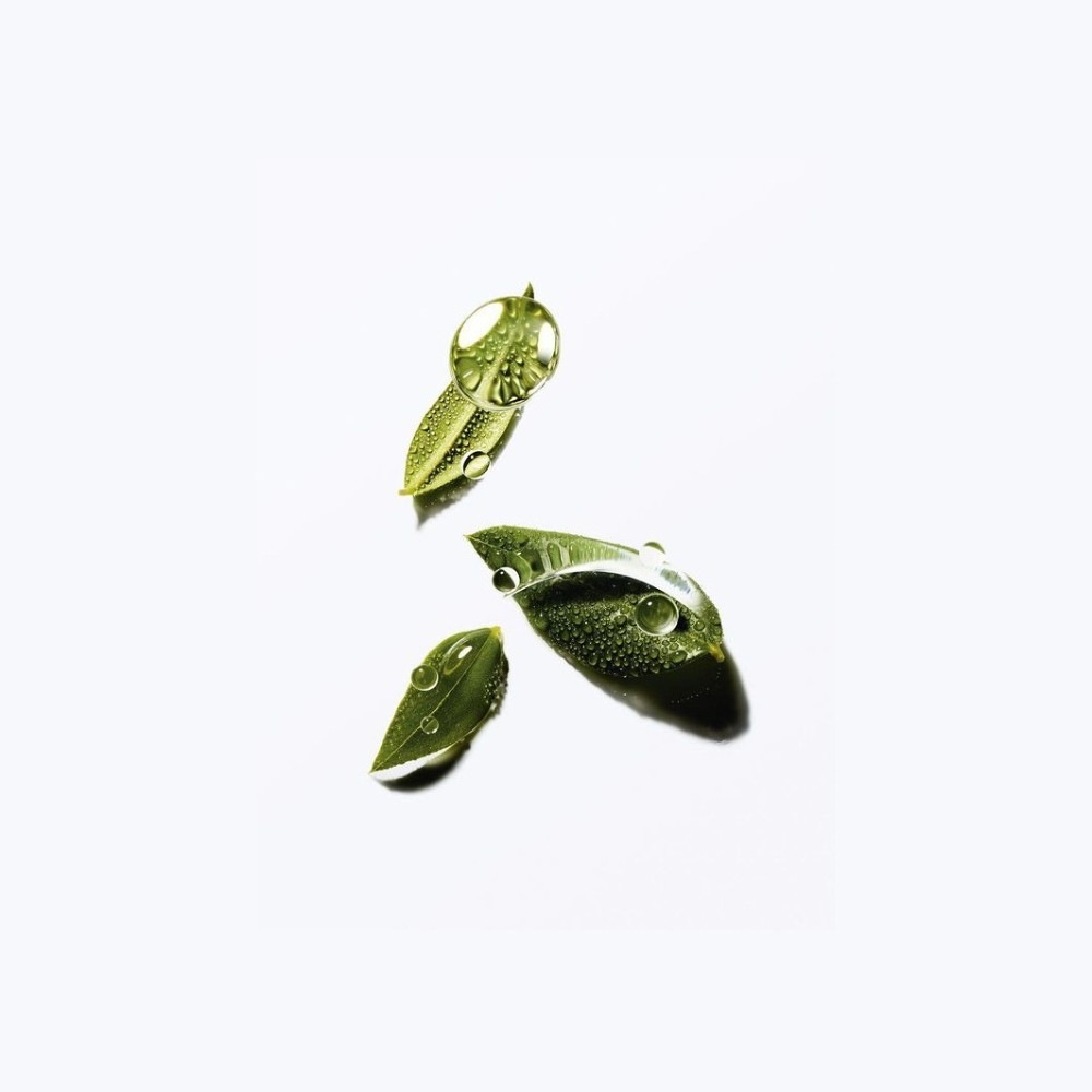 Pure White Cosmetics Balancing Green Tea Mist