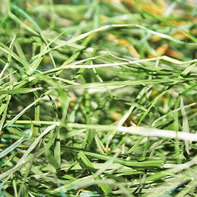 Mucki Mountain Meadow Hay