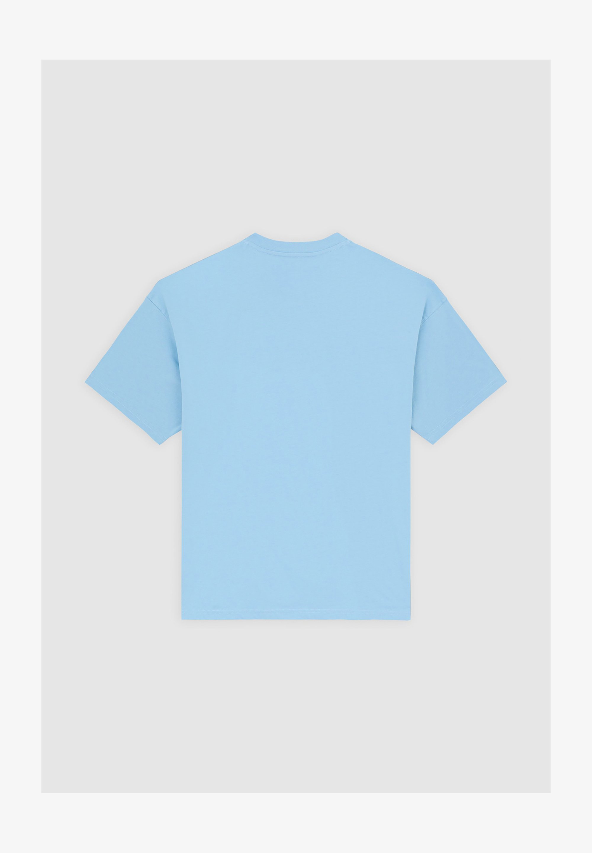 Dickies Trykte T-skjorter