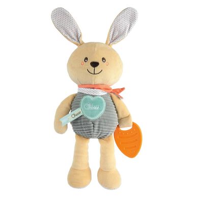 Chicco Bunnyn ensimmäiset aktiviteetit
