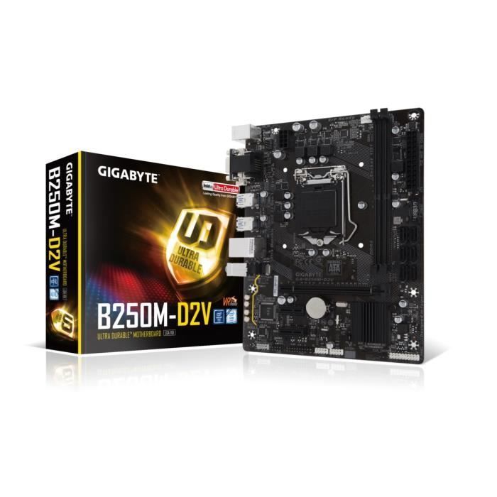 Gigabyte Carte mère GA-B250M-D2V - Socket LGA 1151 - DDR4 - 2400 Hz - 32 Go
