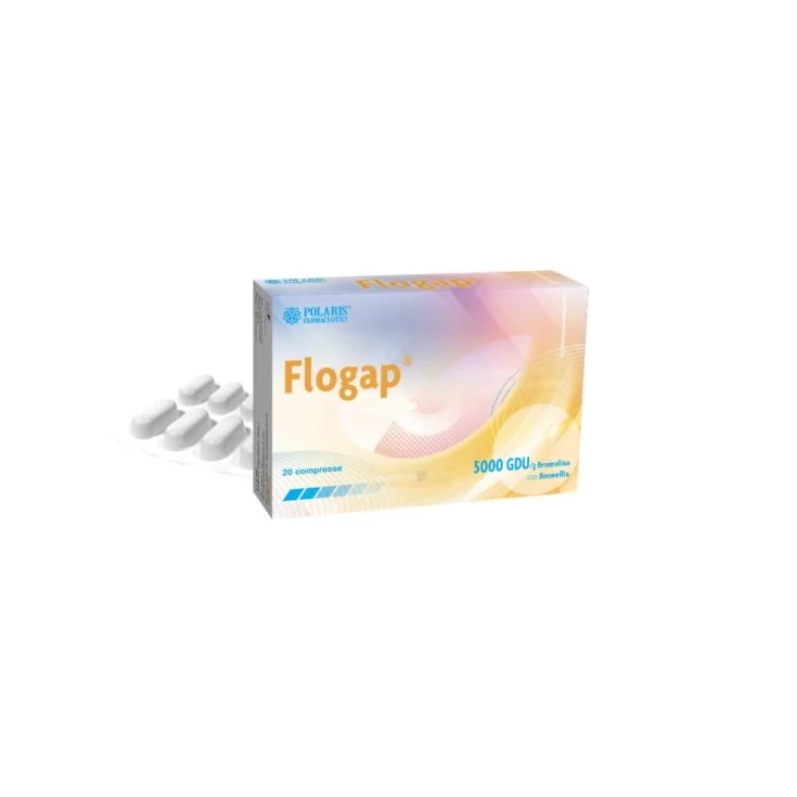 POLARIS Flogap 5000 Gdu 20Cpr