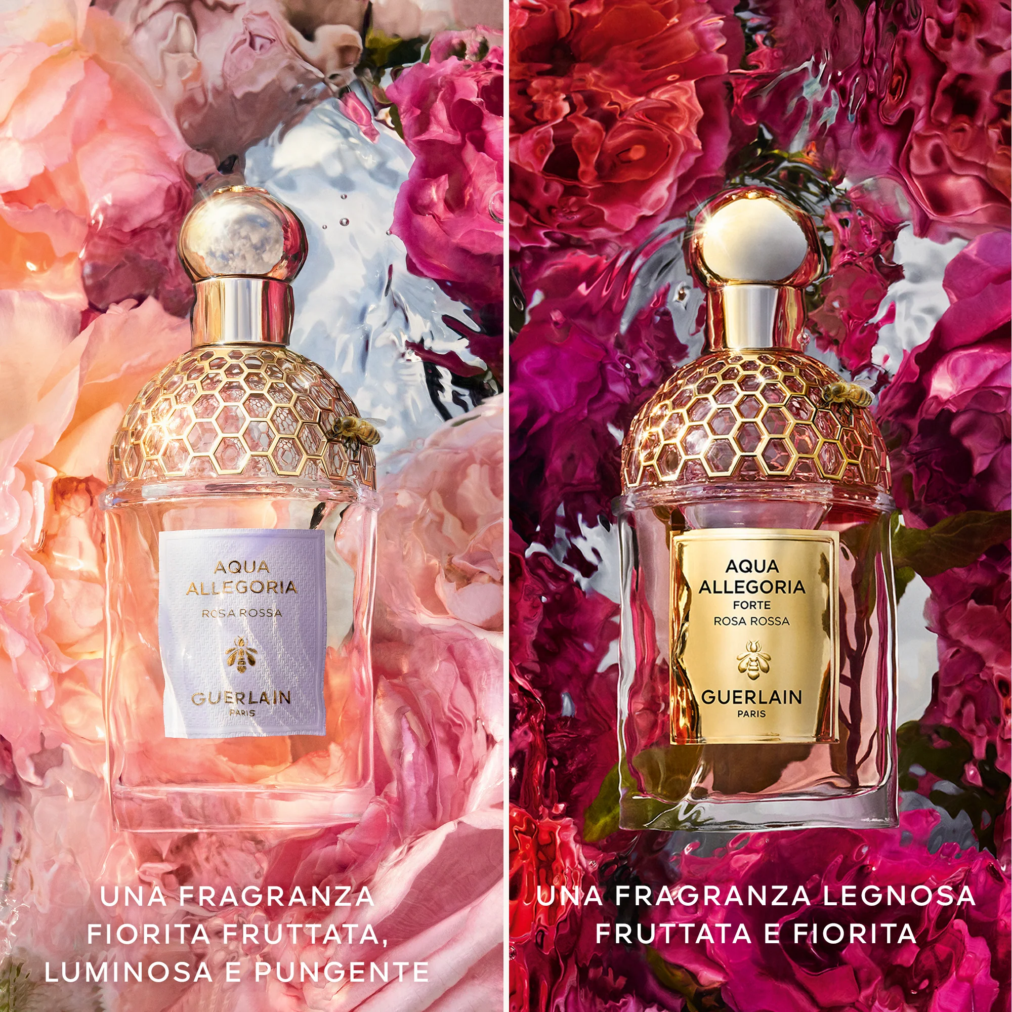 Aqua Allegoria Rosa Rossa Forte - Eau de Parfum - Eau de Parfum