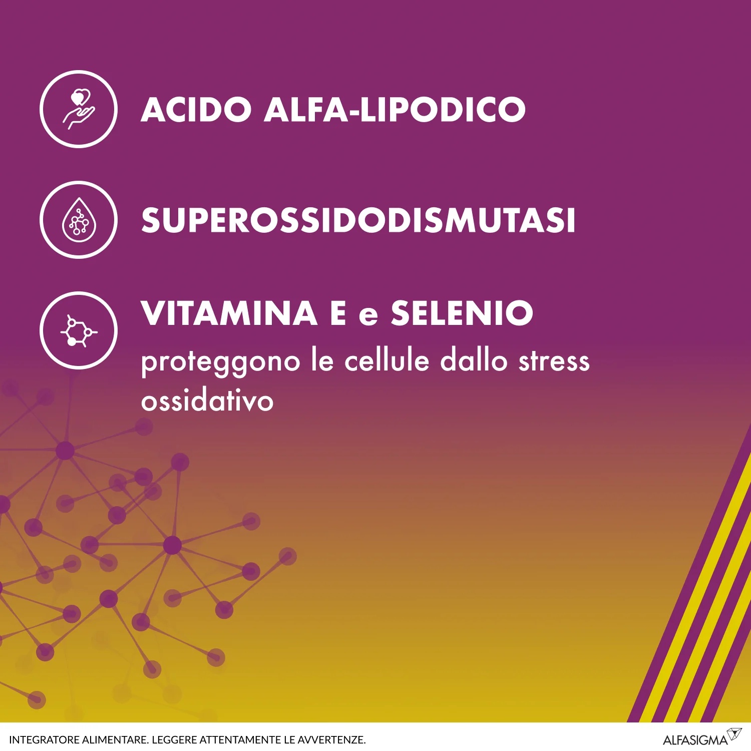 ALA Ala 600 Sod 20 tabletten Antioxidant voedingssupplement