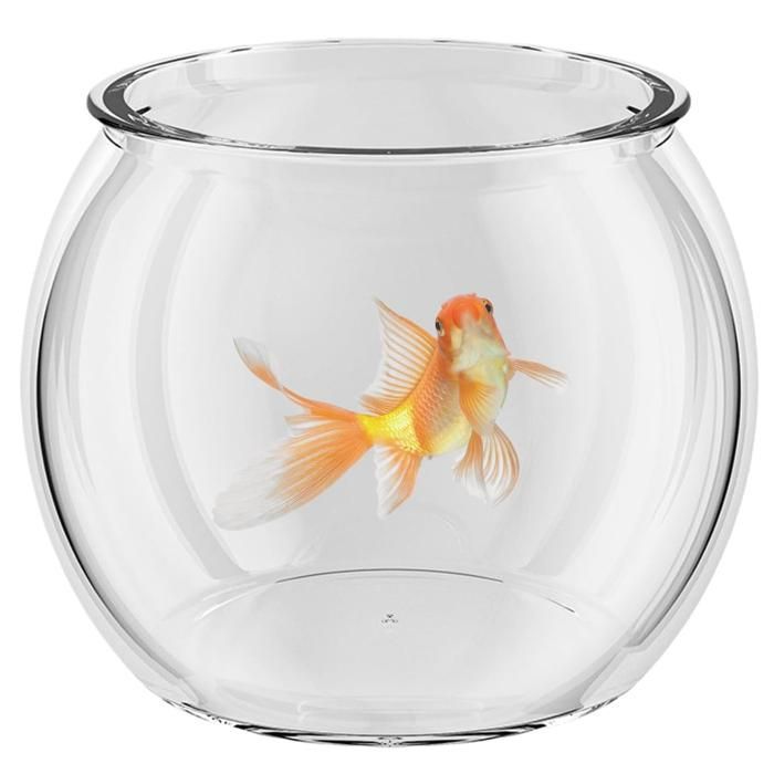 Bordsakvarium, transparent fiskskål, litet glasakvarium, fiskvas, fisktank för bordsvisning