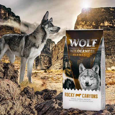 Wolf of Wilderness Adult 