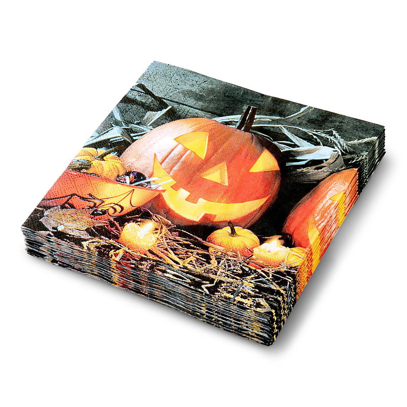 Vie Eco -lautasliinat 20 kpl 33x33 cm, talvi