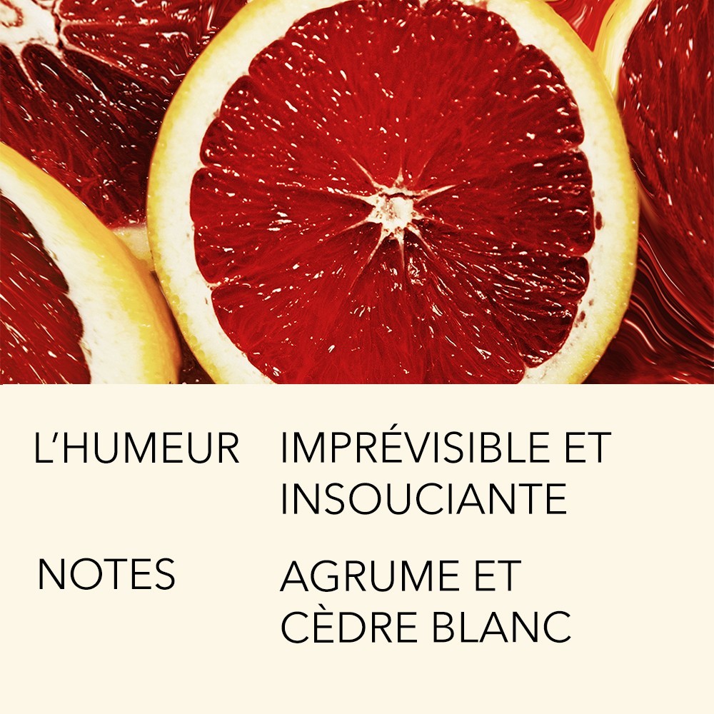 L`Atelier Parfum VERTE EUPHORIE 15ML
