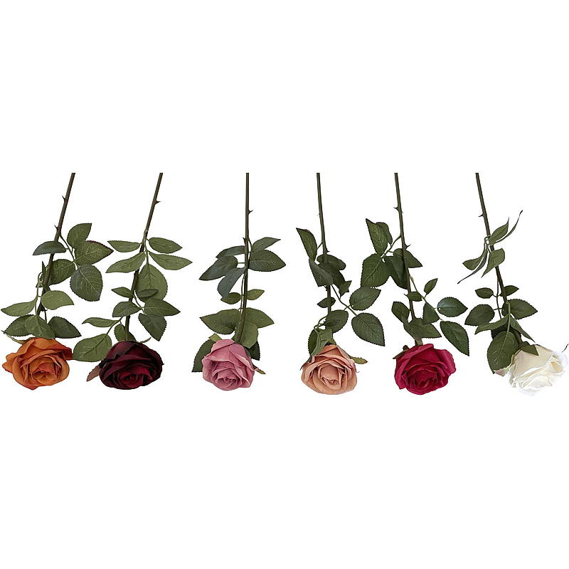 Hjem Rosestilk 55 cm