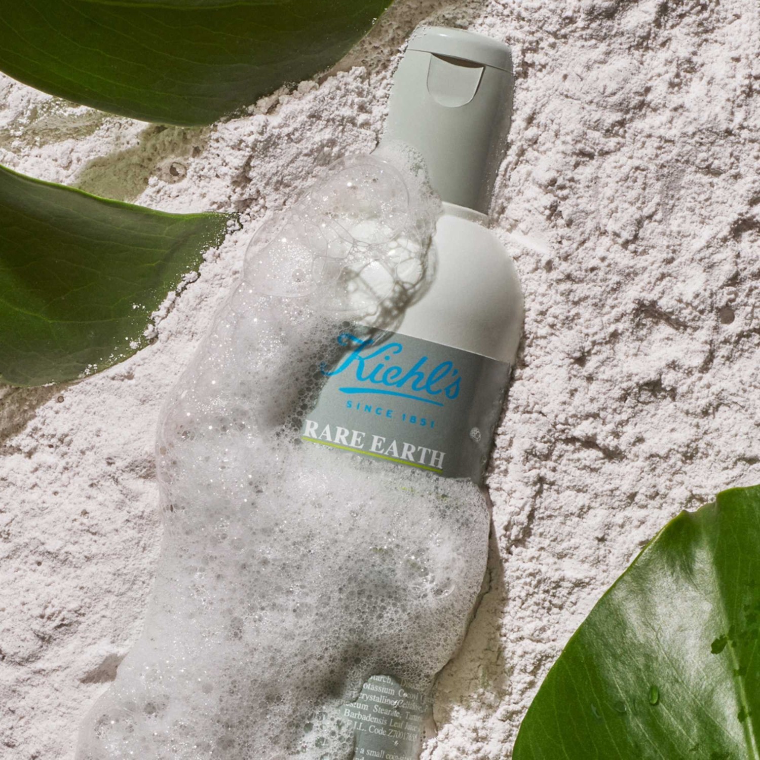 Kiehl’s Rare Earth