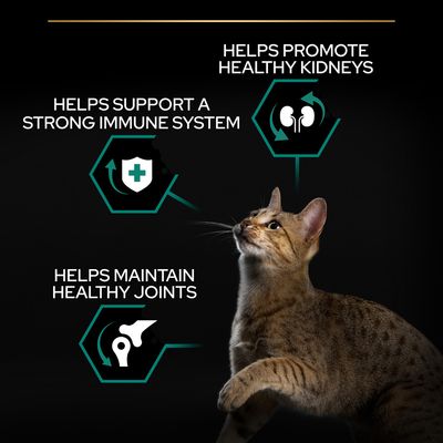 PURINA PRO PLAN Adult Renal Plus – bogata w kurczaka
