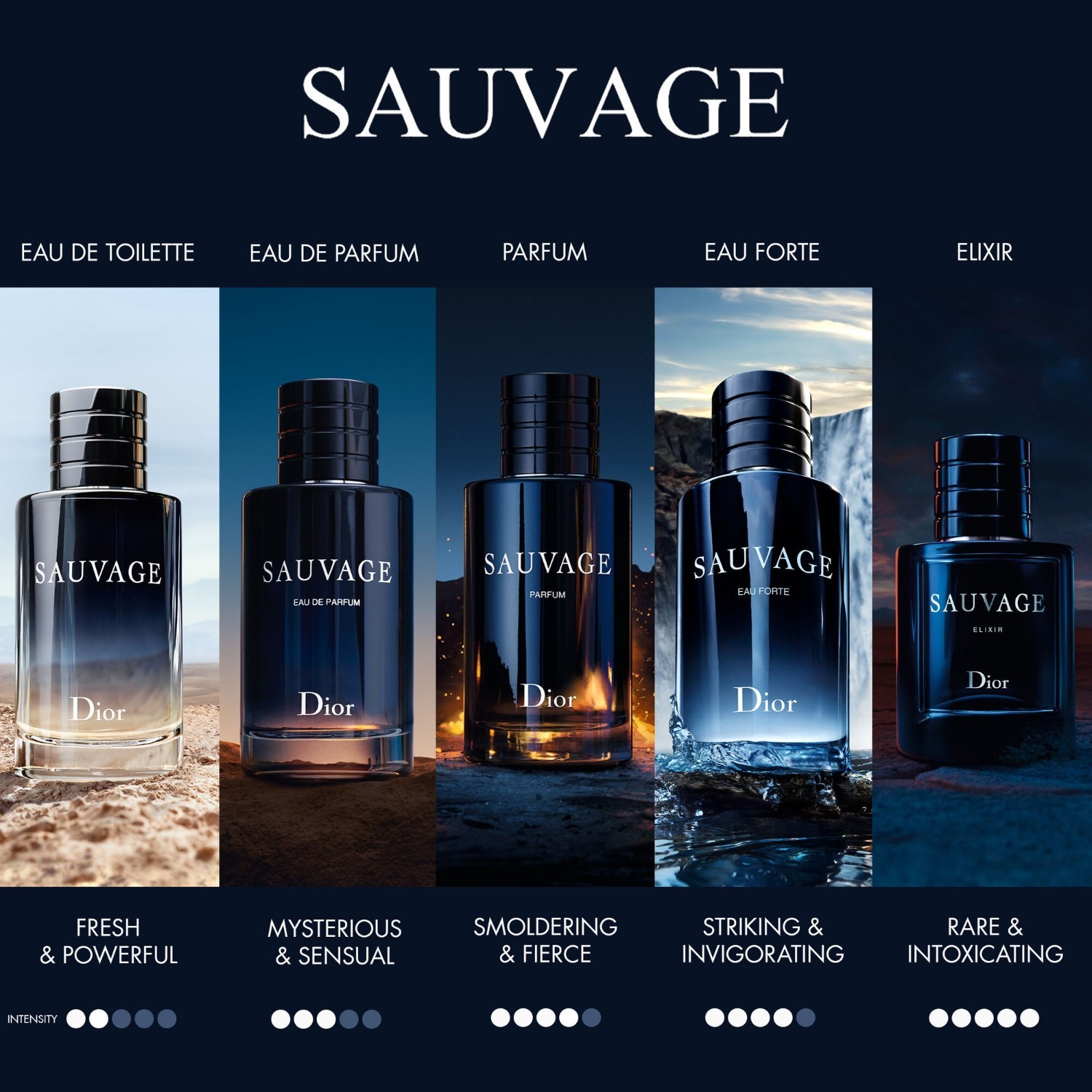 DIOR Parfum Sauvage Eau Forte - 60 ml
