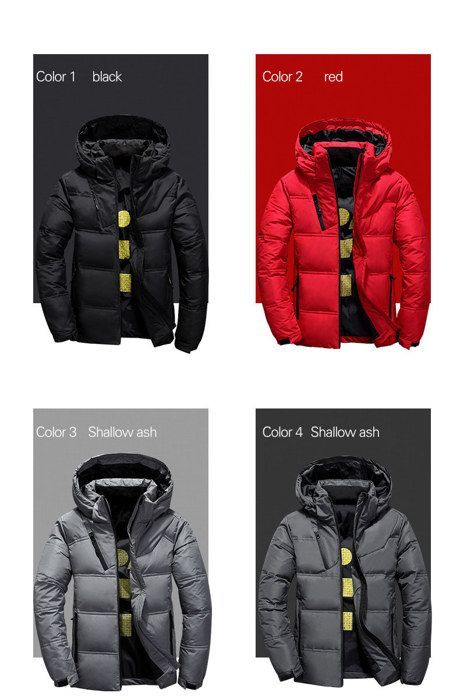 Men's Warm Winter Down Jacket, Duck Down, Solid Color, with Hood - Grey