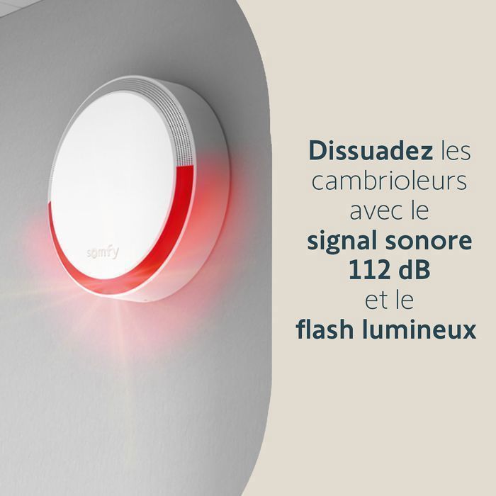 Somfy 1875350 - Alarma doméstica esencial - Paquete de vídeo - Alarma doméstica inalámbrica con conexión Wi-Fi - Cámara de vigilancia interior