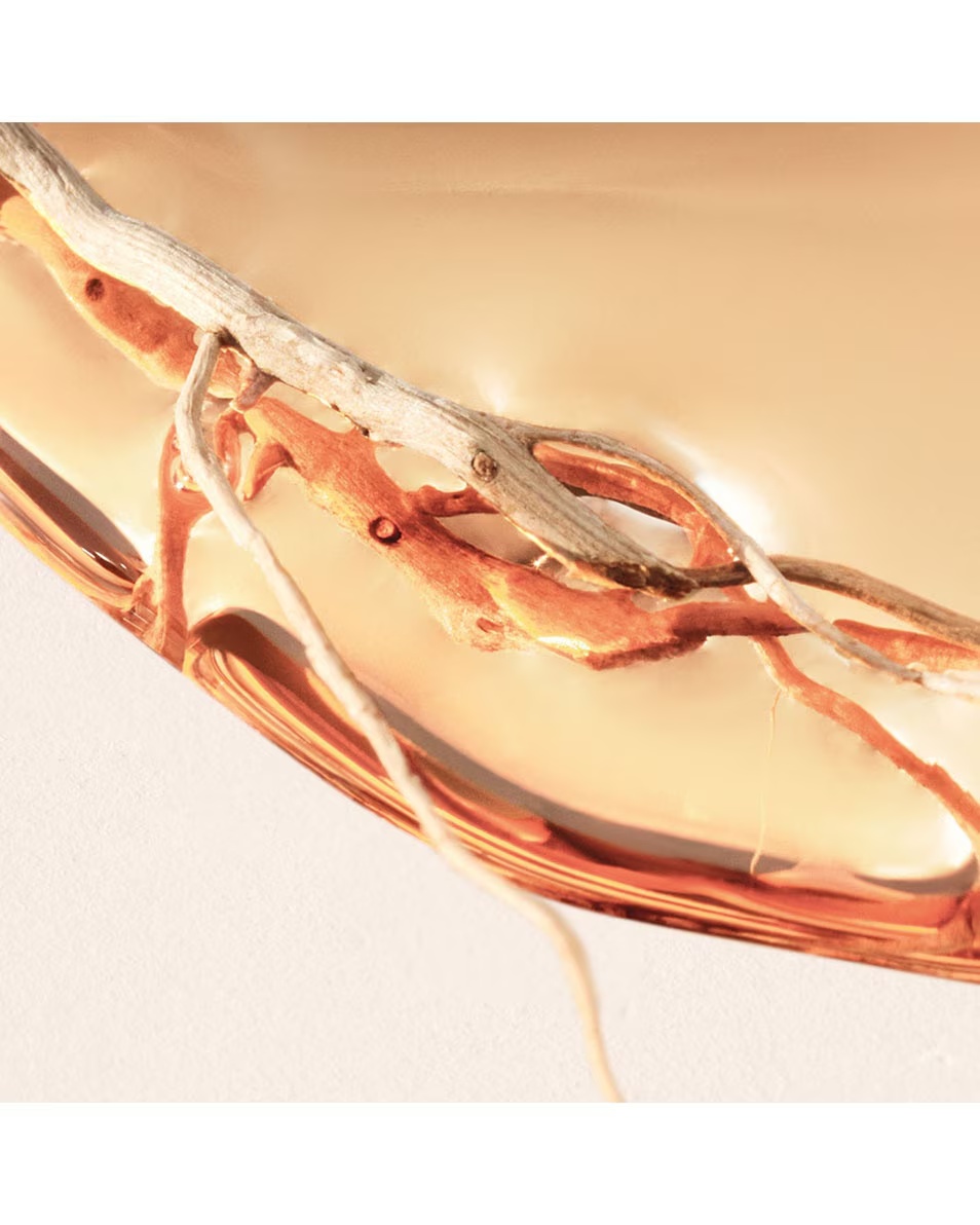 HUGO BOSS BOSS ALIVE EAU DE PARFUM INTENSE