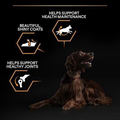 PURINA PRO PLAN Große Portion für sportliche Erwachsene – tägliche Ernährung