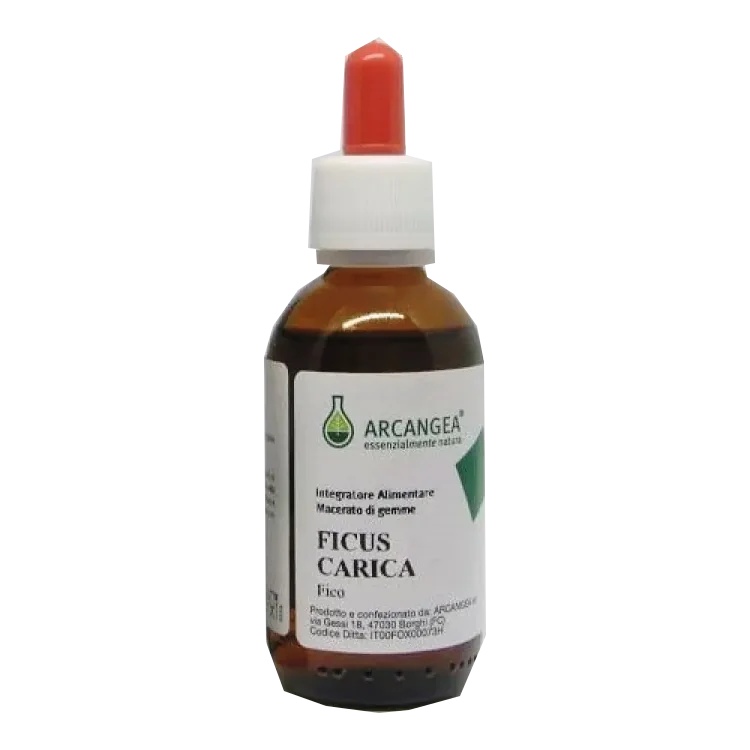 ARCANGEA Ficus Carica Bio 33 degrés 100 ml Anxiété et problèmes d'estomac